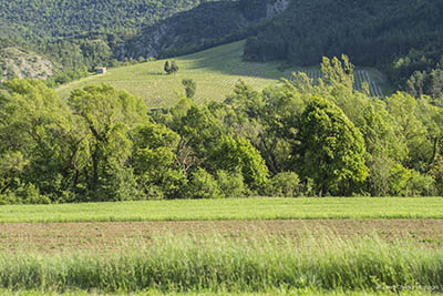 diois
