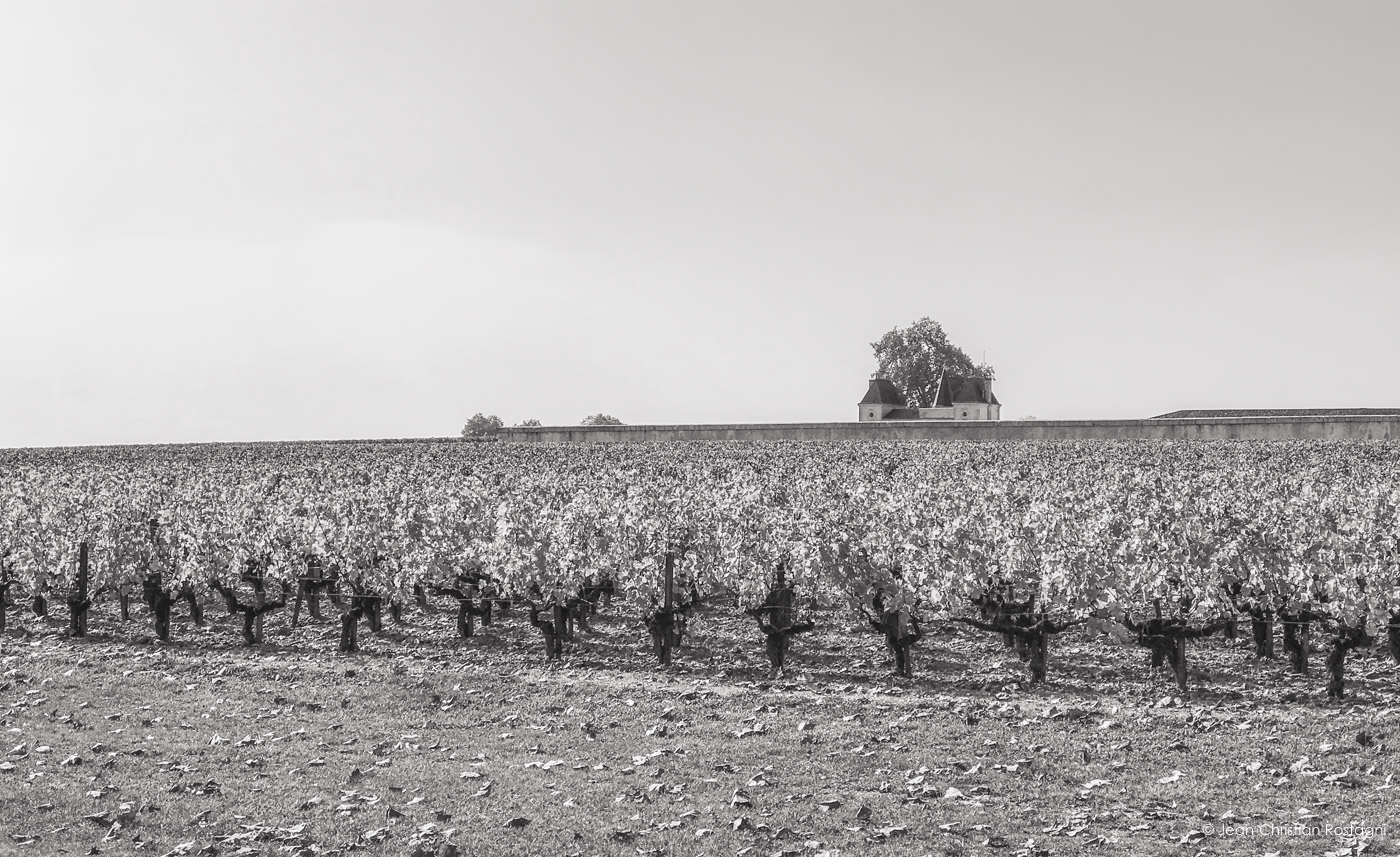 medoc