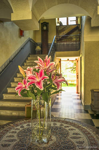 Fleurs