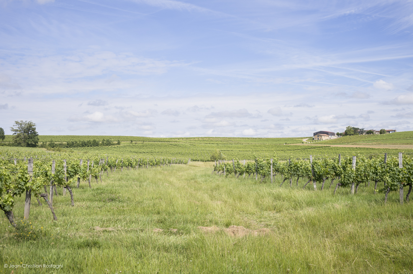 Chateau Coulonge, filed view