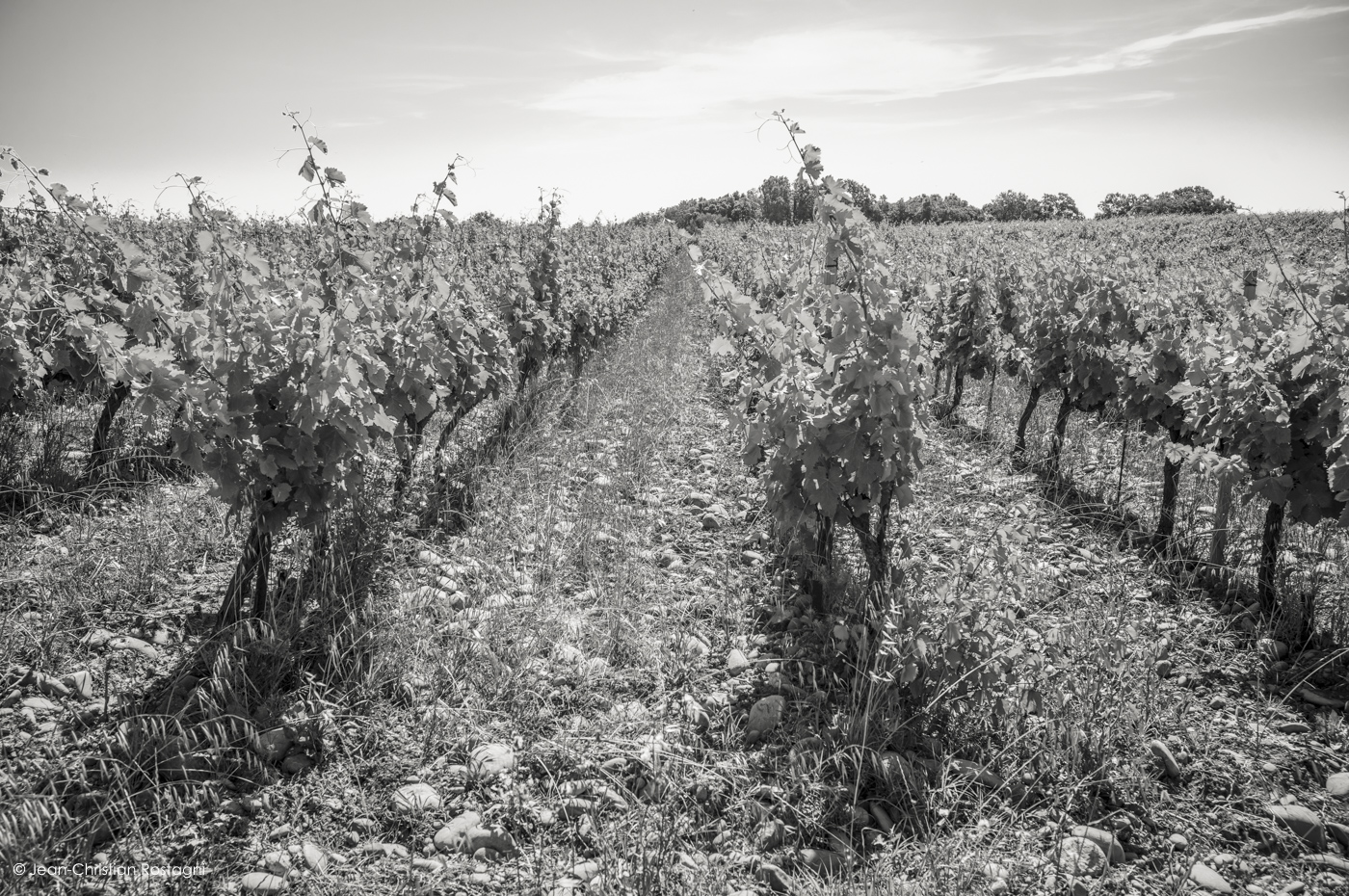 saint andeol appelation, chateau rochecolombe, montjault