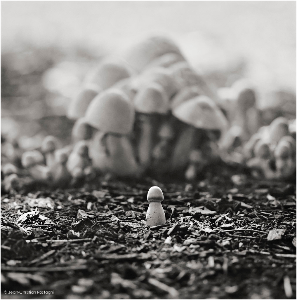 CervantesIsAmongUs_Jean-Christian Rostagni